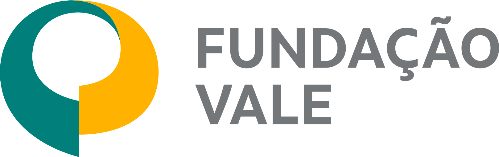 Logo da Fundação Vale