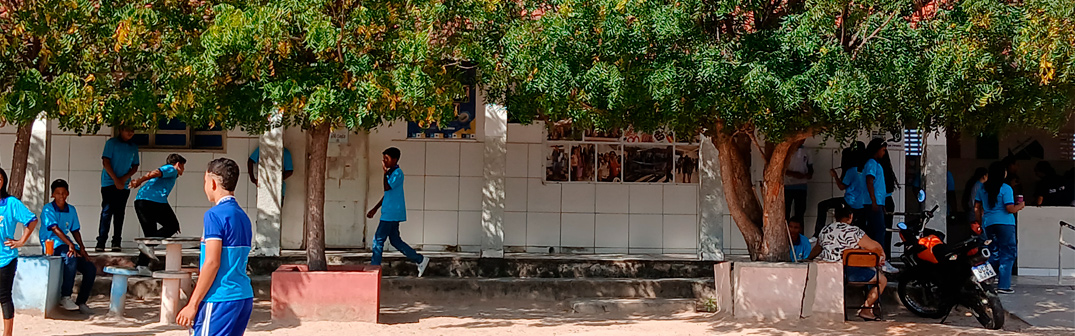 Foto de crianças diversas usando uniformes escolares, no pátio arborizado de uma escola.